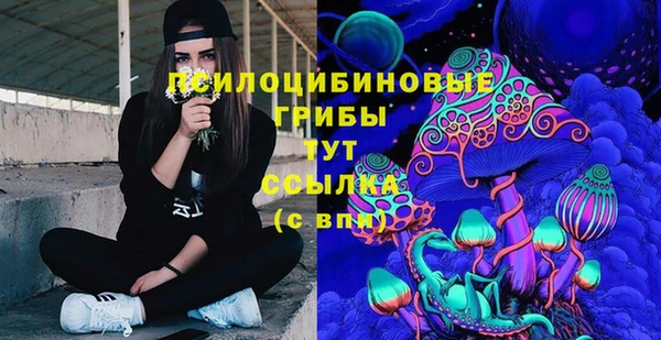амф Арсеньев