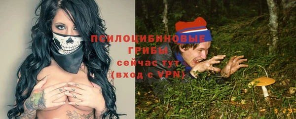 амф Арсеньев
