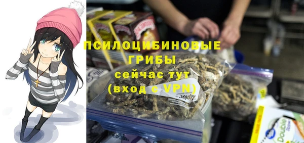 шишки Армянск